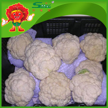 FROZEN CAULIFLOWER ORGANIC FOOD